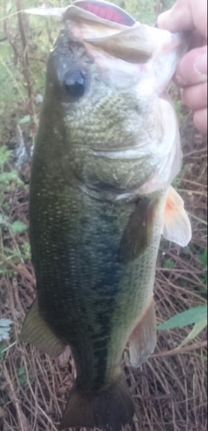 hideup 久次米良信 ブログ写真 2017/10/17