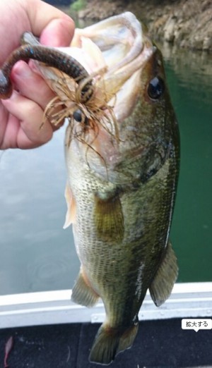 hideup 久次米良信 ブログ写真 2016/08/03