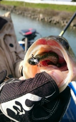 hideup 久次米良信 ブログ写真 2016/12/15