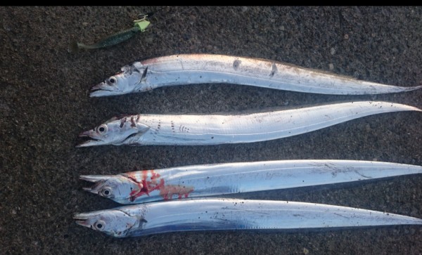 hideup 久次米良信 ブログ写真 2017/10/02