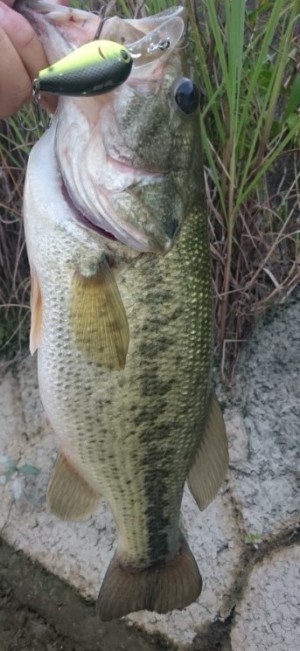 hideup 久次米良信 ブログ写真 2016/07/12