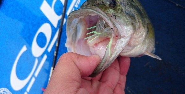 hideup 久次米良信 ブログ写真 2016/12/07