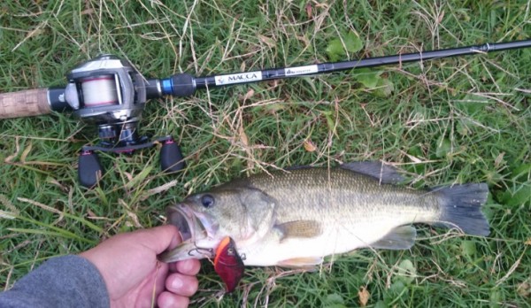 hideup 久次米良信 ブログ写真 2016/10/18