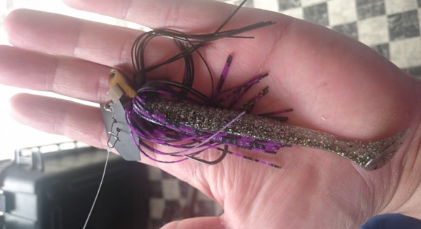 hideup 久次米良信 ブログ写真 2016/06/08