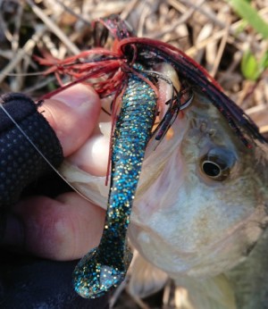 hideup 久次米良信 ブログ写真 2017/12/04