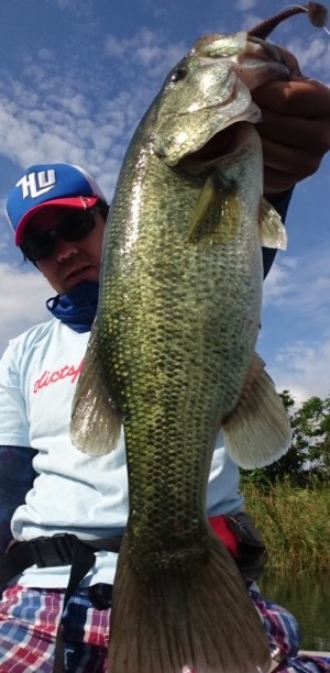 hideup 久次米良信 ブログ写真 2017/09/04