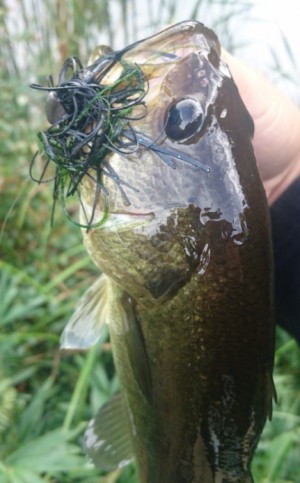 hideup 久次米良信 ブログ写真 2017/09/18