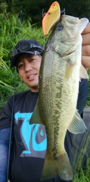 hideup 久次米良信 ブログ写真 2017/09/20