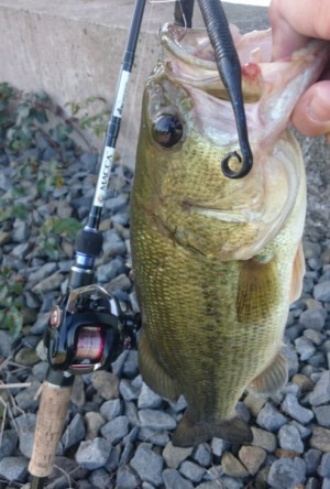 hideup 久次米良信 ブログ写真 2017/06/08