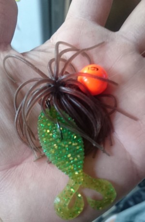 hideup 久次米良信 ブログ写真 2017/06/22