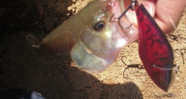 hideup 久次米良信 ブログ写真 2016/10/14