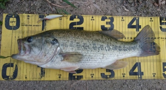 hideup 久次米良信 ブログ写真 2017/06/09