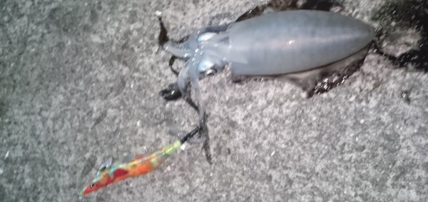 hideup 久次米良信 ブログ写真 2016/10/01