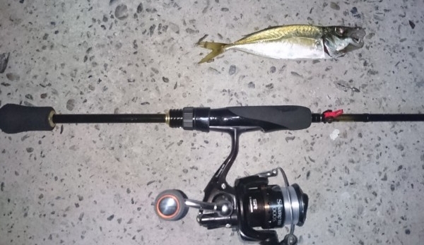 hideup 久次米良信 ブログ写真 2017/11/07