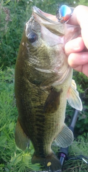 hideup 久次米良信 ブログ写真 2017/05/13