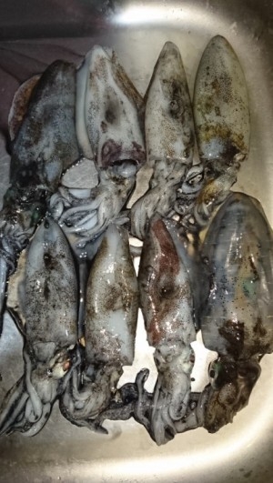 hideup 久次米良信 ブログ写真 2016/09/14