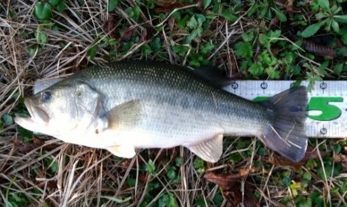 hideup 久次米良信 ブログ写真 2017/12/02