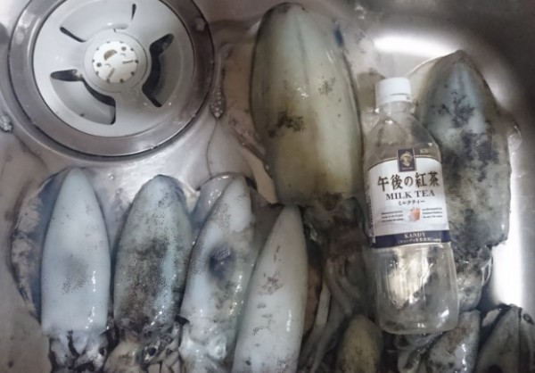 hideup 久次米良信 ブログ写真 2016/10/08