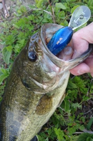 hideup 久次米良信 ブログ写真 2017/10/17