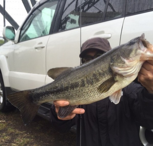 hideup 久次米良信 ブログ写真 2016/04/09