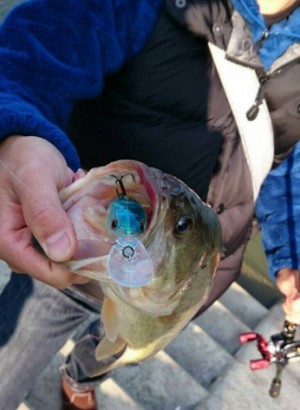 hideup 久次米良信 ブログ写真 2017/01/04