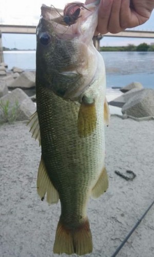 hideup 久次米良信 ブログ写真 2016/09/02