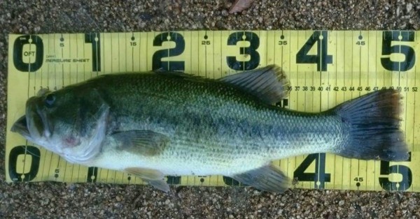 hideup 久次米良信 ブログ写真 2017/09/13