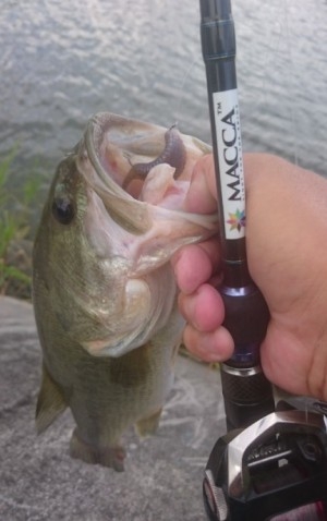 hideup 久次米良信 ブログ写真 2016/09/07