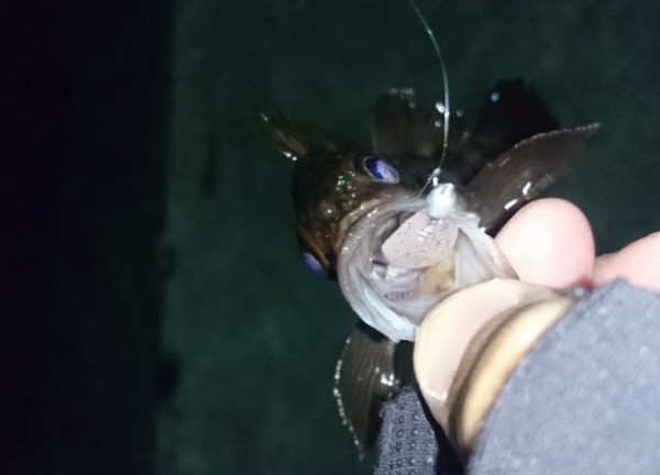 hideup 久次米良信 ブログ写真 2016/12/20