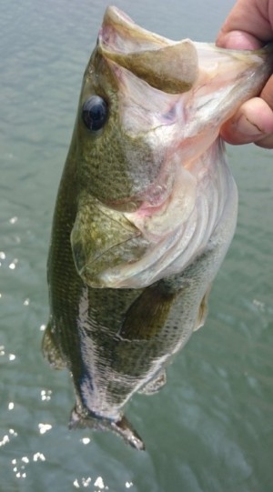 hideup 久次米良信 ブログ写真 2016/08/16