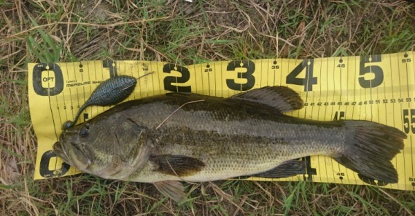 hideup 久次米良信 ブログ写真 2017/06/01