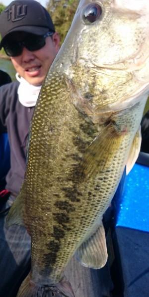 hideup 久次米良信 ブログ写真 2017/05/15