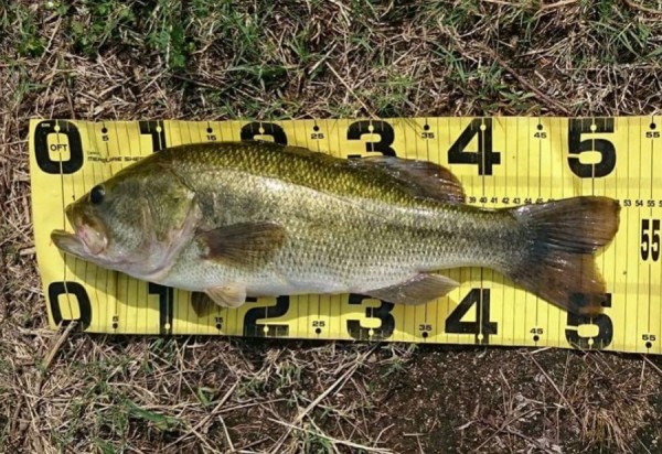 hideup 久次米良信 ブログ写真 2017/08/17