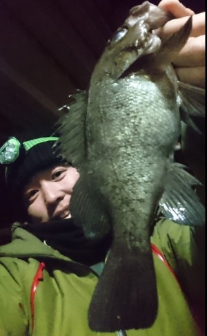 hideup 久次米良信 ブログ写真 2017/03/04