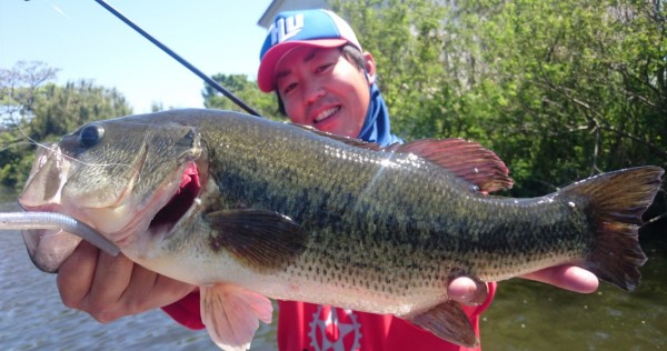 hideup 久次米良信 ブログ写真 2017/05/17