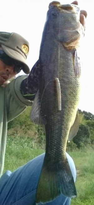 hideup 久次米良信 ブログ写真 2017/10/04