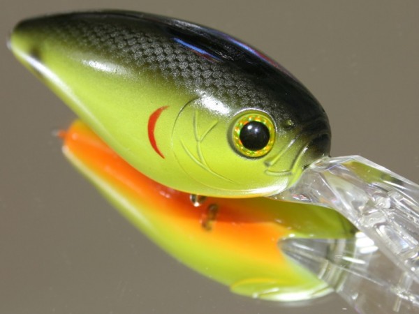 hideup 久次米良信 ブログ写真 2017/02/14