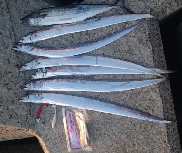 hideup 久次米良信 ブログ写真 2017/10/03