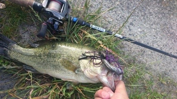 hideup 久次米良信 ブログ写真 2016/06/08