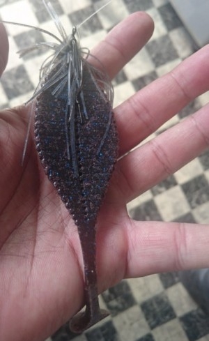 hideup 久次米良信 ブログ写真 2016/07/19