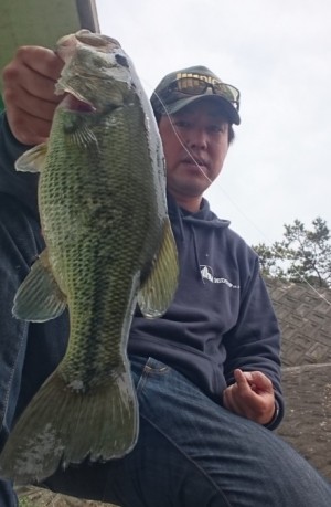 hideup 久次米良信 ブログ写真 2017/05/04