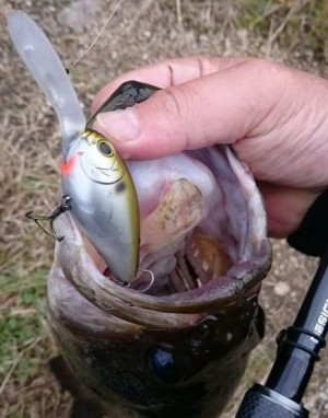 hideup 久次米良信 ブログ写真 2017/11/14