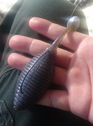 hideup 久次米良信 ブログ写真 2017/08/08