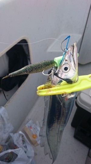 hideup 久次米良信 ブログ写真 2016/11/15