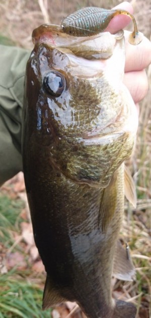 hideup 久次米良信 ブログ写真 2017/01/23