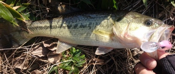 hideup 久次米良信 ブログ写真 2017/01/05