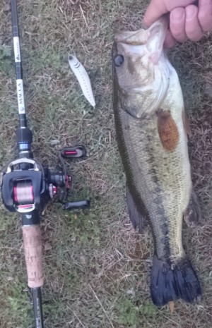 hideup 久次米良信 ブログ写真 2017/05/19