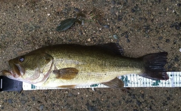 hideup 久次米良信 ブログ写真 2016/09/09