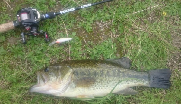 hideup 久次米良信 ブログ写真 2017/05/02