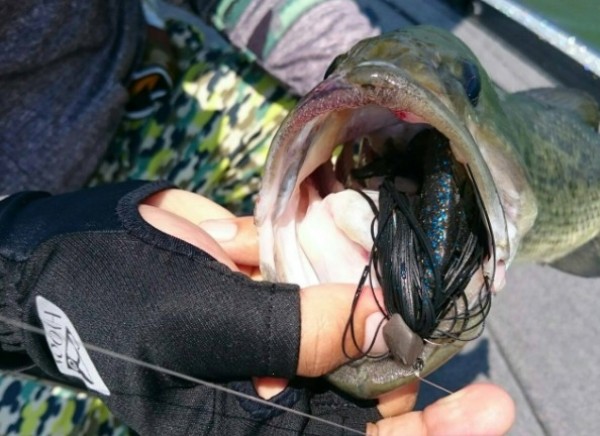 hideup 久次米良信 ブログ写真 2016/08/05